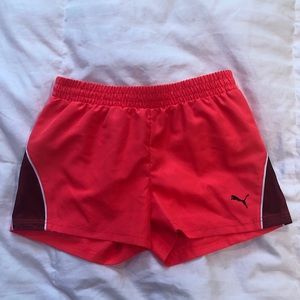 pink/burgundy active puma shorts